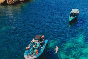Mallorca: 2 timers speedbåttur, besøk grotter, klipper og snorkling