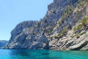 4h Private boat tour north coast of Mallorca