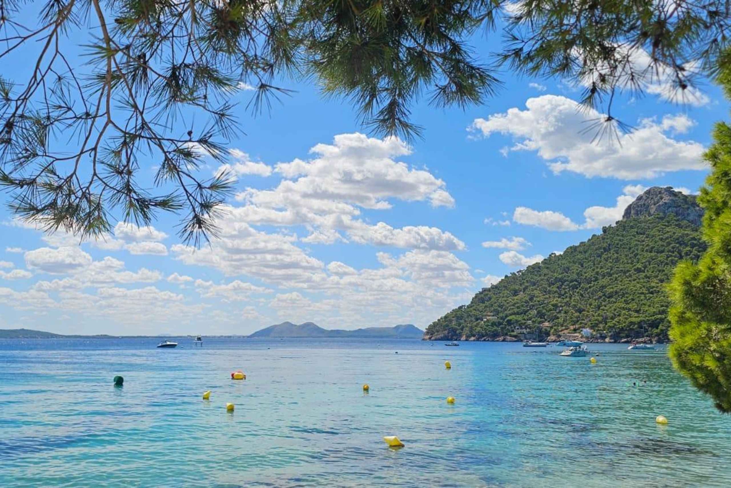 8-godzinna wycieczka do Formentor i Puerto Pollensa na Majorce