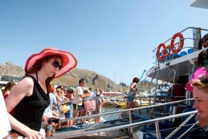 Mallorca: Dagstur till Cala Formentor & Puerto Pollensa