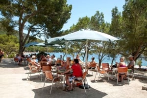 Mallorca: Dagstur till Cala Formentor & Puerto Pollensa