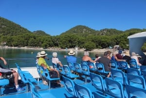 Mallorca: Dagstur till Cala Formentor & Puerto Pollensa