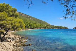 8-godzinna wycieczka do Formentor i Puerto Pollensa na Majorce