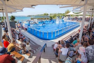 Mallorca: Admission Tickets for Marineland Mallorca