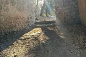 Alaró: Blue Zone Longevity Hiking to Castell d'Alaró – Nature & Vitality