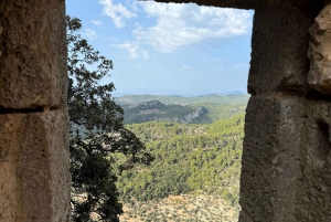 Alaró: Blue Zone Longevity Hiking to Castell d'Alaró – Nature & Vitality