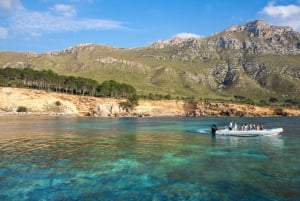 Alcudia: Dolphin Watching & Sunrise Coast Cruise with Guide