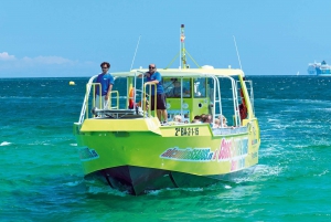 Alcudia: Dolphin Watching Cruise with Coll Baix Beach Stop