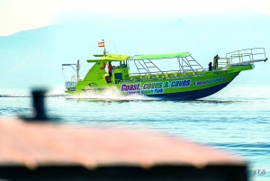 Alcudia: Dolphin Watching Cruise with Coll Baix Beach Stop