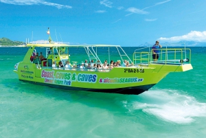Alcudia: Dolphin Watching Cruise with Coll Baix Beach Stop