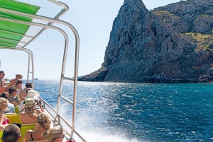 Alcudia: Dolphin Watching Cruise with Coll Baix Beach Stop