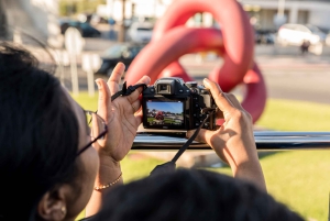 Alcudia: ALCUDIA City TOUR Open Top Bus, tur i åben bus