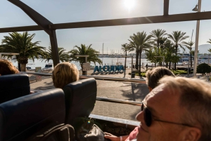 Alcudia: ALCUDIA City TOUR Open Top Bus, tur i åben bus