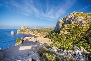 Formentor: Alcudia Old Town, Market, and Boat Excursion