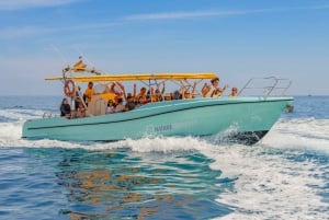 Alcudia: Bådtur til Formentor og Sa Fortaleza