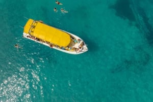Alcudia: Paseo en barco Formentor & Sa Fortaleza