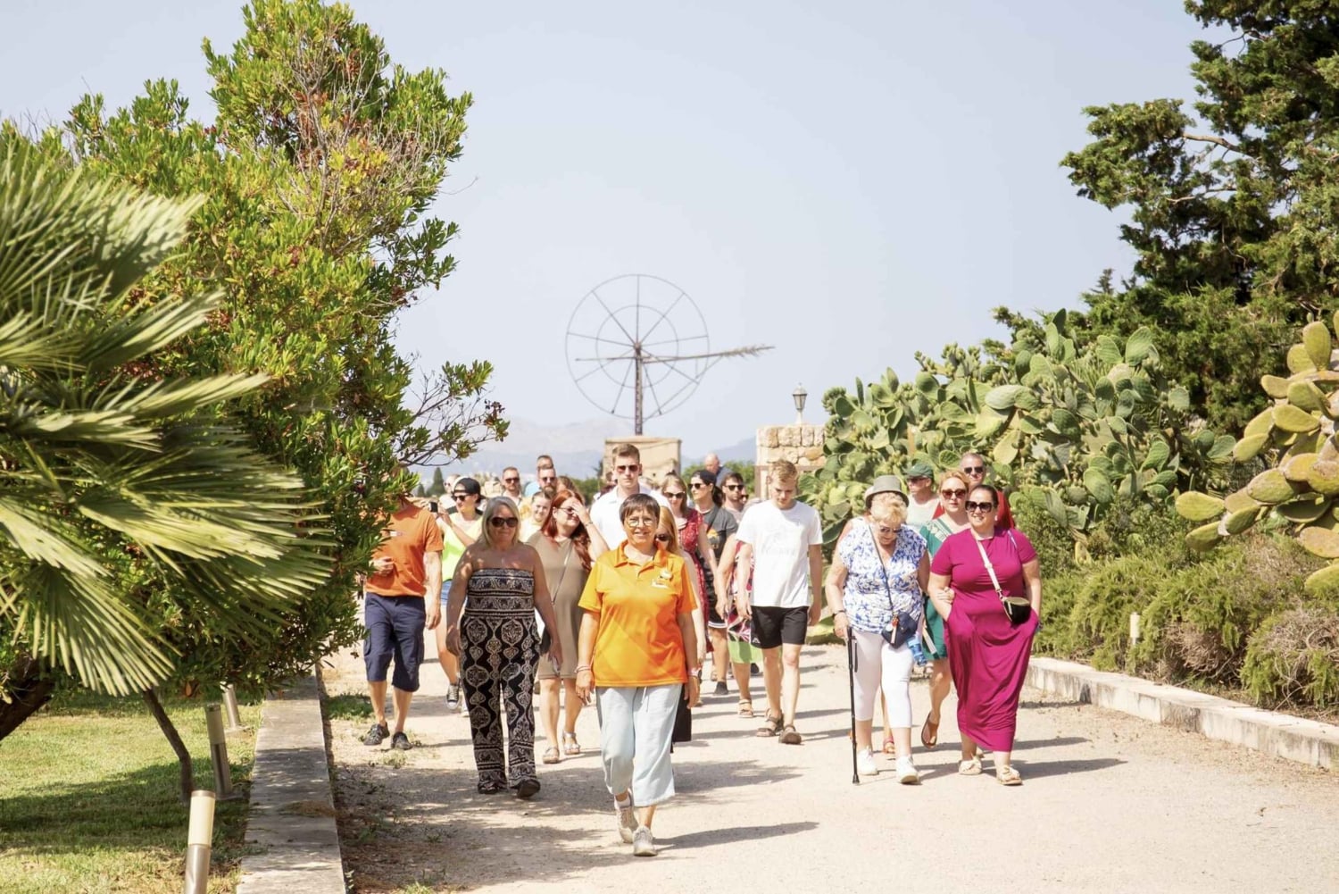 Alcúdia/Can Picafort: Wijngaardbezoek en wijnproeverij met gids