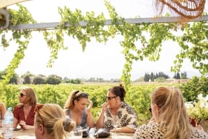 Alcúdia/Can Picafort : Visite guidée des vignobles et dégustation de vin