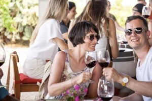 Alcúdia/Can Picafort : Visite guidée des vignobles et dégustation de vin