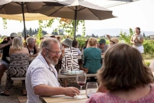 Alcúdia/Can Picafort : Visite guidée des vignobles et dégustation de vin