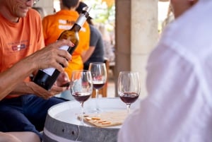 Alcúdia/Can Picafort: Wijngaardbezoek en wijnproeverij met gids