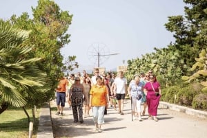 Alcúdia/Can Picafort: Wijngaardbezoek en wijnproeverij met gids