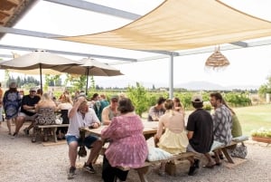 Alcúdia/Can Picafort: Wijngaardbezoek en wijnproeverij met gids