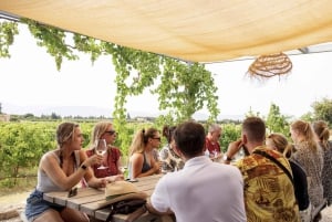 Alcúdia/Can Picafort: Wijngaardbezoek en wijnproeverij met gids