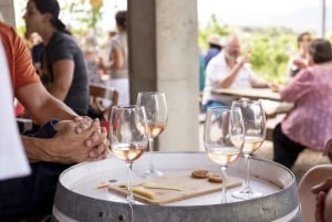 Alcúdia/Can Picafort: Wijngaardbezoek en wijnproeverij met gids