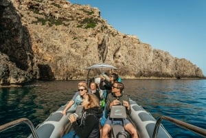 Alcudia/Can Picafort: Guidet cruise med delfinsafari i soloppgangen