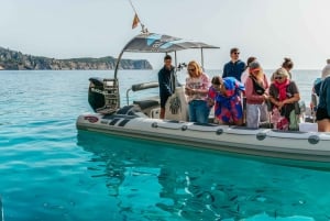 Alcudia/Can Picafort: Guidet cruise med delfinsafari i soloppgangen
