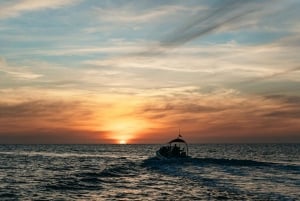 Alcudia of Can Picafort: Dolfijn-observatie cruise