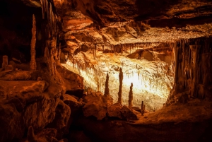 Alcudia : visite des grottes du Drach depuis le nord avec tour en bateau