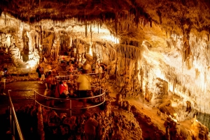 Alcudia : visite des grottes du Drach depuis le nord avec tour en bateau