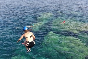 Alcudia: Coasteering Cliff Jumping