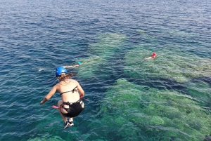 アルクディア：コーステリングクリフジャンプ