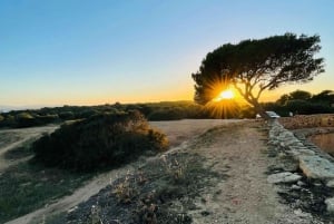 Alcúdia: CoupleAdventure, fun game,city walk & creative quiz