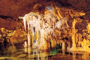 Alcudia: Dinosaurland and Hams' Caves Half-Day Trip