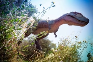 Alcudia: Dinosaurland and Hams' Caves Half-Day Trip