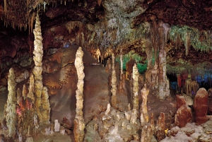 From Alcúdia: Dinosaurland and Hams' Caves Half-Day Trip