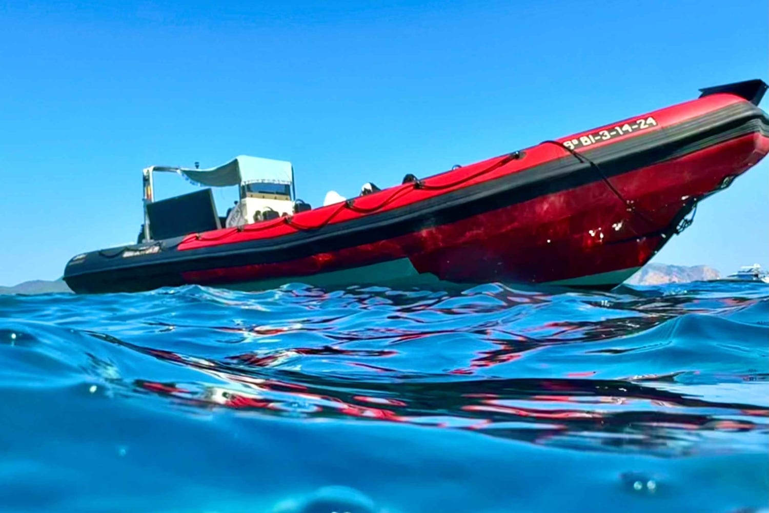 Alcudia: Dolphin Watching at Sunrise with Speedboat