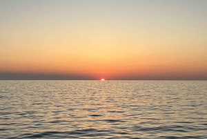 Alcudia: Observação de golfinhos ao nascer do sol em lancha