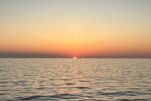 Alcudia: Observação de golfinhos ao nascer do sol em lancha