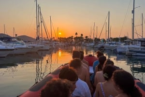 Alcudia: Dolphin Watching at Sunrise with Speedboat
