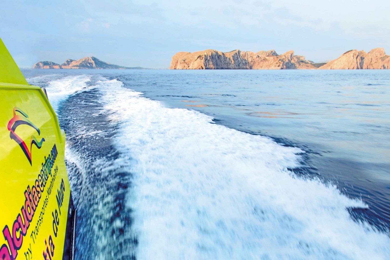 Alcudia: Delfinäventyrskryssning