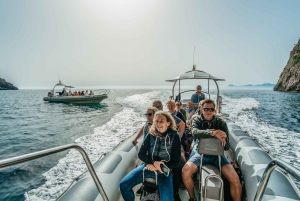 Alcudia: Dolphin Watching & Sunrise Coast Cruise with Guide