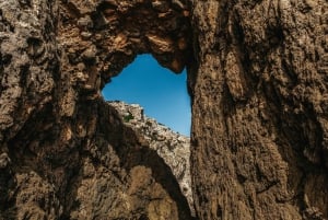 Alcudia: Dolphin Watching & Sunrise Coast Cruise with Guide