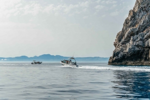 Alcudia: Dolphin Watching & Sunrise Coast Cruise with Guide