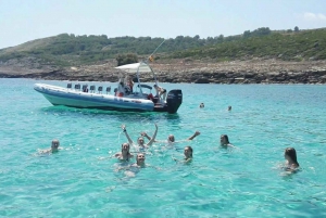 Alcudia: Formentor Beach & Lighthouse Cruise