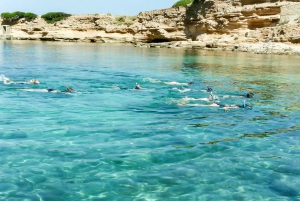 Alcúdia : croisière à la plage et au Phare de Formentor
